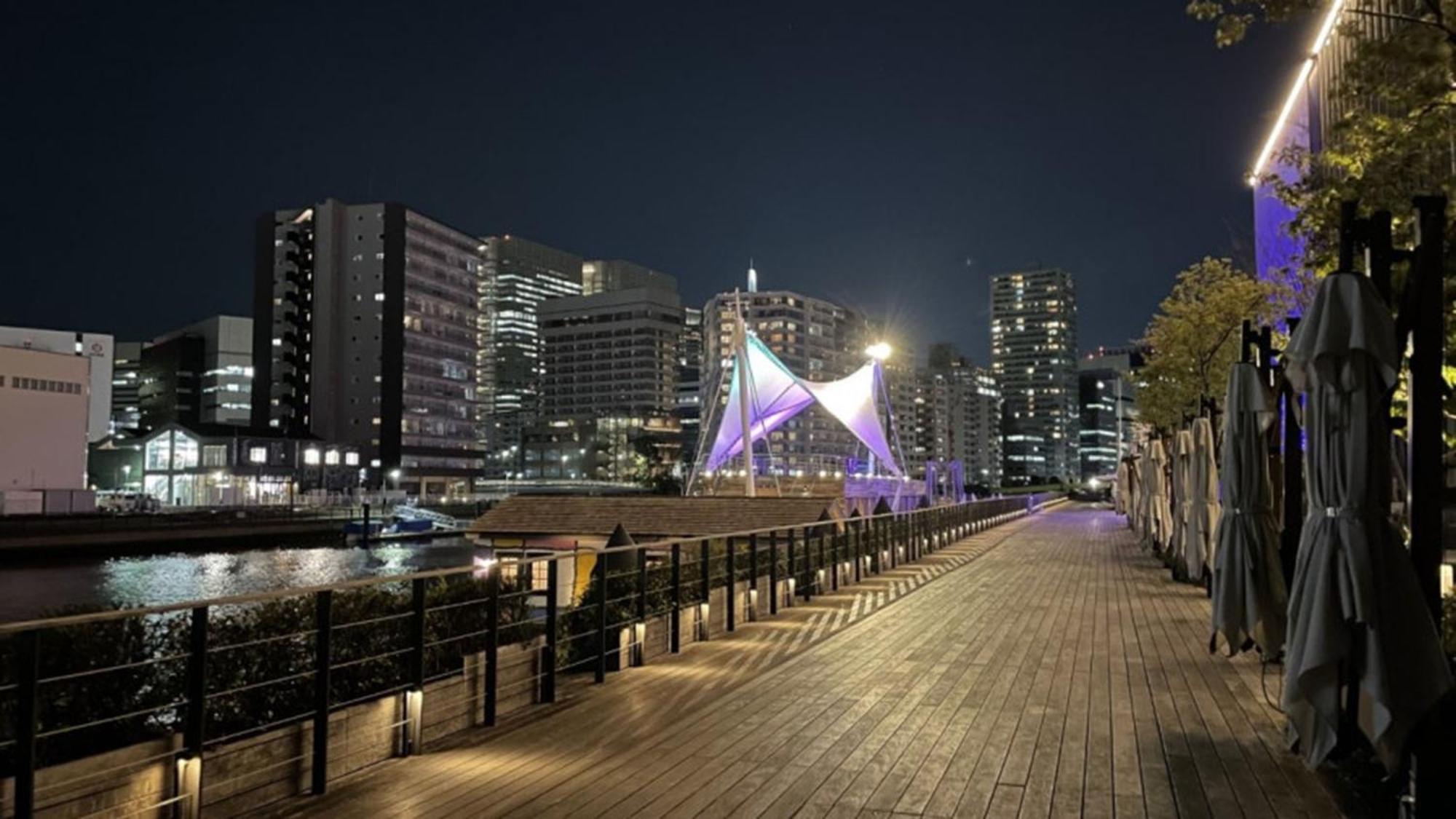 Toyoko Inn Tokyo Shinagawa Konan-Guchi Tennozu Isle Екстериор снимка